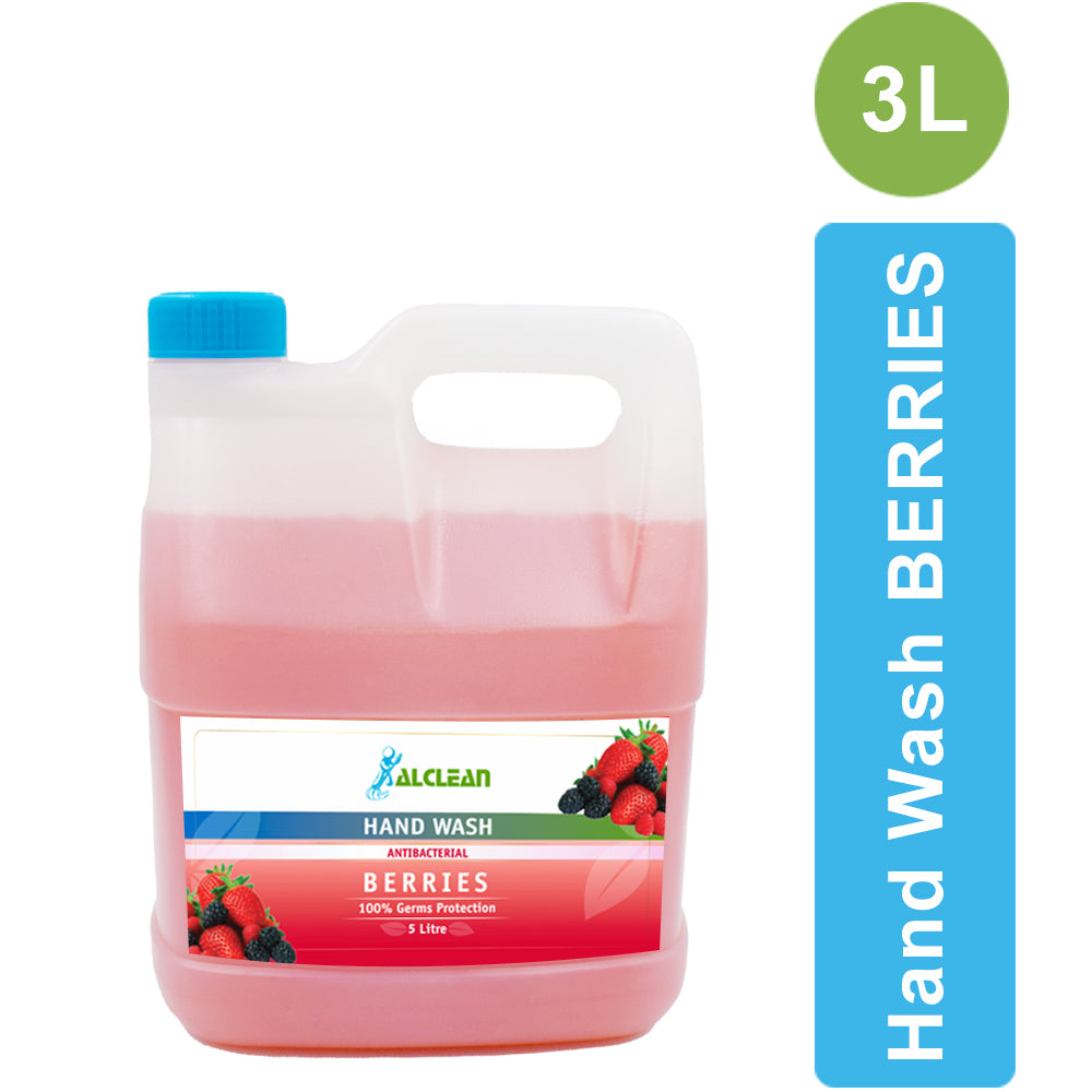 HW-B-3L-Hand Wash Berries 3L